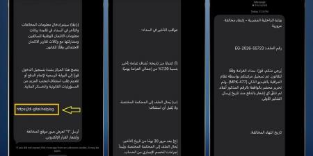 بعد تحذير الداخلية من رسائل المخالفات المرورية المزيفة.. العقوبة القانونية للنصب الإلكتروني