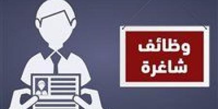 وزارة العمل تعلن وظائف جديدة بمدينة 6 أكتوبر برواتب تصل إلى 11 ألف جنيه