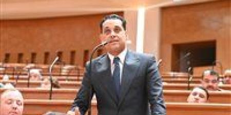 وكيل مشروعات النواب: ثورة 30 يونيو أنقذت الدولة ورسخت تمكين الشباب والمرأة وفتحت آفاق التنمية أمام المصريين
