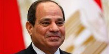 قيادي بحماة الوطن: مصر بقيادة الرئيس السيسي تقود مسارات السلام وتحافظ على توازنات المنطقة في مواجهة التحديات