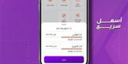 تطبيق إنستاباي 2026.. رسوم جديدة وحدود محدثة للمعاملات المالية