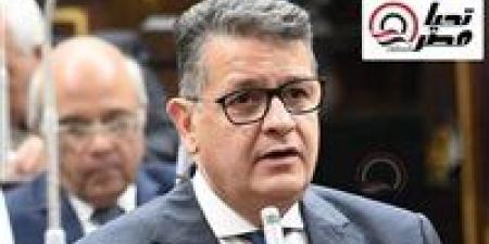 النائب طارق رضوان: أطالب بمثول الحكومة أمام البرلمان كل ثلاثة أشهر لتقديم تقرير بحجم الإنجازات التي تمت