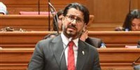 النائب أحمد بلال البرلسي: دعم قطاع الغزل والنسيج بلغ 62 مليار جنيه دون تحقيق نتائج واضحة ونطالب بالتحقيق