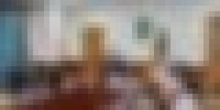وزير الفلاحة يُبرز أهمية مشروع إنشاء البنك الوطني للجينات في تعزّيز السيادة الغذائية