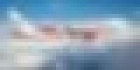 إطلاق خط مباشر بين الجزائر وبرلين قبل سبتمبر