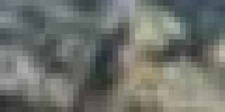 ارتفاع حصيلة شهداء غزة إلى 73326 شهيدا و 173997 مصابا