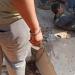 مصرع
      شخص
      وإصابة
      آخر
      إثر
      انقـ
      ـلاب
      سيارة
      نقل
      ثقيل
      في
      نزلة
      الطريق
      الإقليمي
      بأشمون