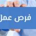 وزارة
      العمل
      تعلن
      عن
      100
      وظيفة
      فنية
      في
      مجال
      الإلكترونيات
      برواتب
      تصل
      إلى
      9000
      جنيه
      شهريًا
