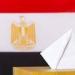 بدء تصويت المصريين في الأرجنتين وباراجوي بانتخابات مجلس النواب 2025