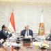 وزير العمل يبحث معايير تأهيل مهنة مساعد خدمات صحية مع ممثلي وزارة الصحة والمجلس الصحي المصري ونقابة التمريض