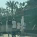 توافد جماهير الأهلى والزمالك على استاد القاهرة.. صور