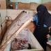 حملات مكبرة بسوقي الروضة والعصر ببورسعيد تضبط لحومًا فاسدة ودواجن محقونة بالمياه
