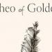 صدرت فى 2025.. رواية Theo of Golden تتصدر قوائم الأكثر مبيعا على أمازون