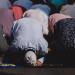 مواقيت الصلاة اليوم الأحد 24 مايو 2026 فى محافظات مصر