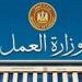 وزارة العمل تعلن عن 18 فرصة عمل بشركة “هينج تونج مصر” بالسويس.. رابط التقديم
