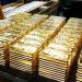 سعر سبيكة الذهب 50 جرام اليوم الإثنين في السوق المصري