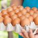 انخفاض أسعار البيض بقنا.. الطبق يسجل 65 جنيهًا بسبب الحر وتراجع الإقبال