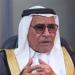 زعيم مجاهدي سيناء: ٣٠ يونيو أسقطت مخطط هدم الدولة