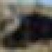 مجلس قضاء بومرداس يكشف تفاصيل حادث انقلاب حافلة خلّف 28 وفاة و36 جريحا