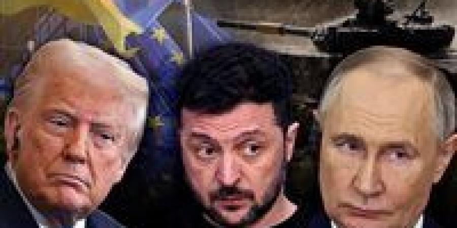 تفاصيل
      قمة
      ترامب
      وبوتين
      في
      المجر
      لإنهاء
      حرب
      أوكرانيا