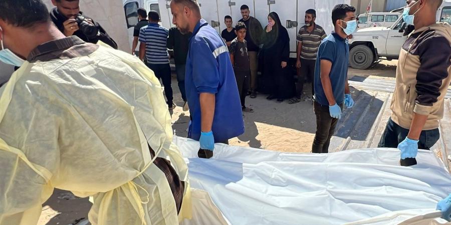 «ضمن
      صفقة
      تبادل
      الأسرى»..
      الصليب
      الأحمر
      يتسلم
      من
      إسرائيل
      دفعة
      رابعة
      لرفات
      قتلى
      فلسطينيين|صور