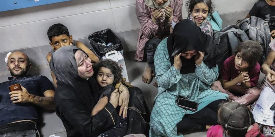عاجل..
      أهالى
      من
      غزة
      يتحدثون
      لـ«الدستور»:
      الدمار
      أكبر
      من
      أن
      تزيله
      أيدى
      الرجال..
      وجثث
      الشهداء
      فى
      الشوارع
      شهادات
      العائدين