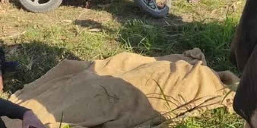 أسيوط:
      مصرع
      سائق
      تريلا
      على
      طريق
      قرية
      بني
      محمديات
      بمركز
      أبنوب