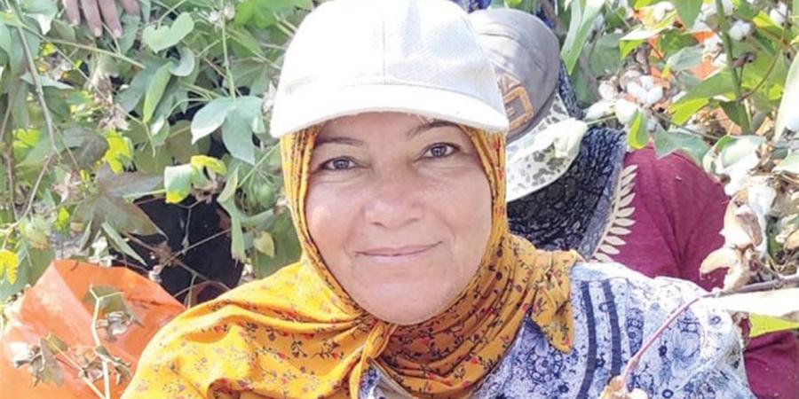 الريسة.. «زينب»
      تقود
      جمع
      القطن
      فى
      «أنشاص
      البصل»:
      «صبر
      ورضا
      وسيطرة»