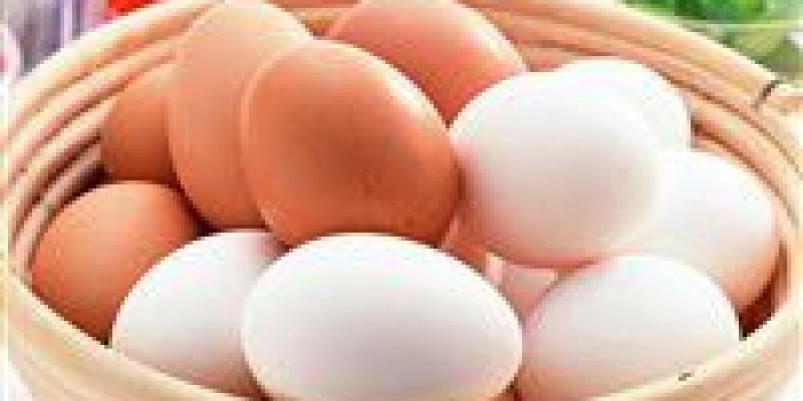 أسعار
      البيض
      اليوم..
      هل
      يستمر
      الانخفاض
      خلال
      الأيام
      المقبلة؟