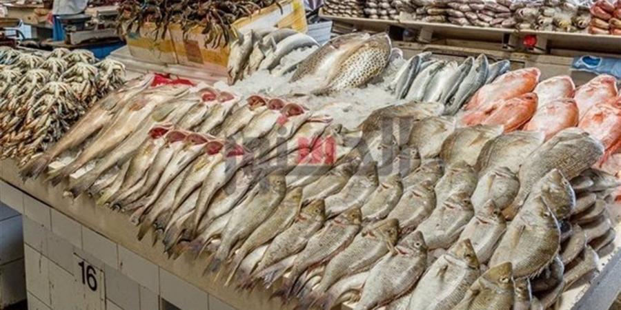 أسعار
      الأسماك
      اليوم
      الخميس
      23
      أكتوبر
      2025
      في
      سوق
      العبور