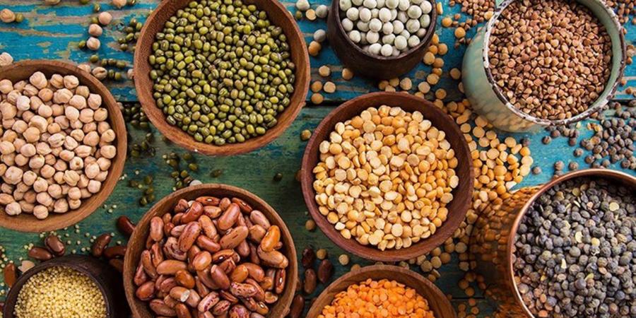 أسعار
      البقوليات
      في
      الغربية
      اليوم
      الجمعة
      24
      أكتوبر
      2025