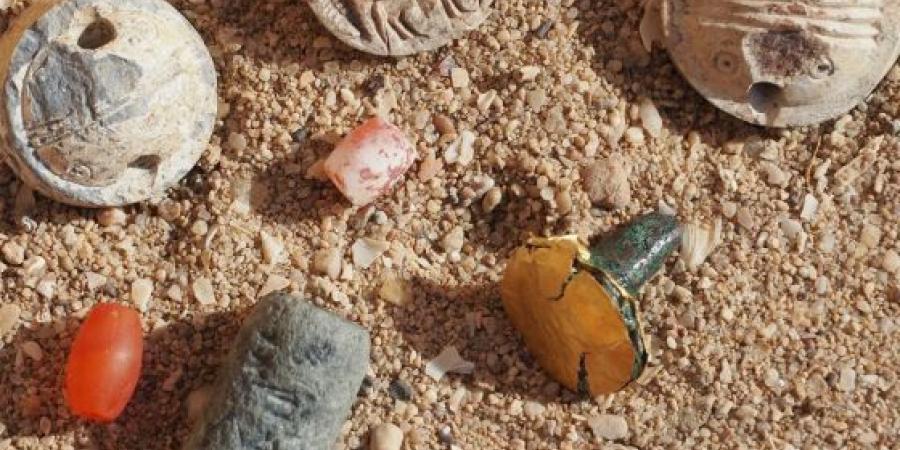 «من
      العصر
      البرونزي»..
      الكويت
      تكتشف
      معبد
      أثري
      يعود
      تاريخه
      لـ
      4
      آلاف
      عام|صور
