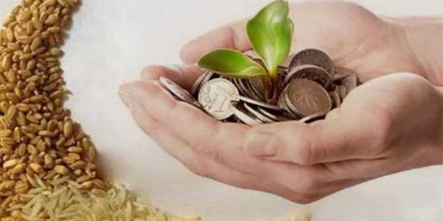 كيف
      نحسب
      مقدار
      زكاة
      الذهب؟..
      أمين
      الفتوى
      يجيب