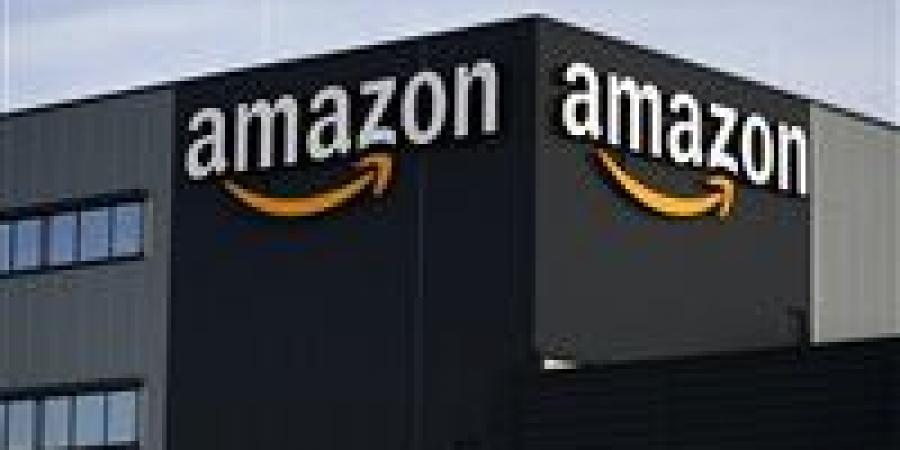 «أمازون»
      تربح
      رهان
      الذكاء
      الاصطناعي
      وتتفوق
      على
      التوقعات