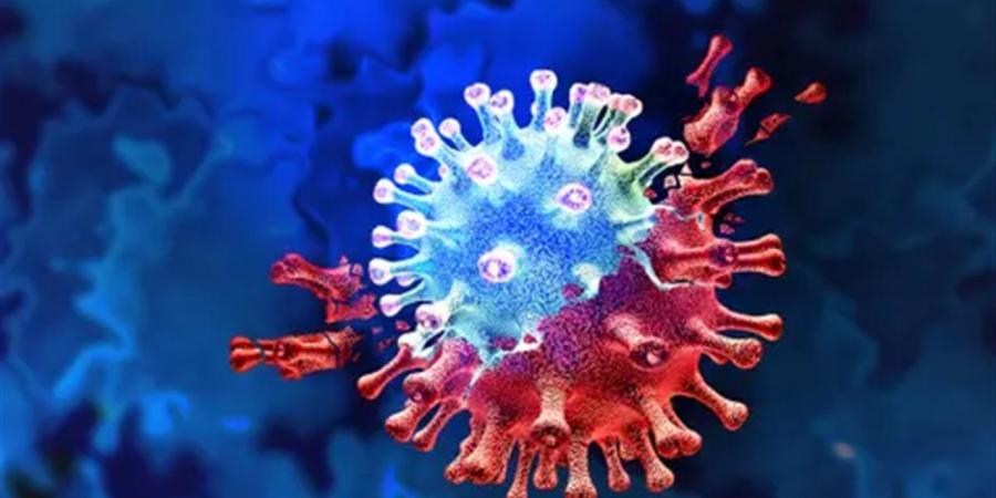 عاجل..
      علماء
      يكتشفون
      فيروس
      كورونا
      جديدًا
      في
      البرازيل
      يشبه
      "كوفيد-19"