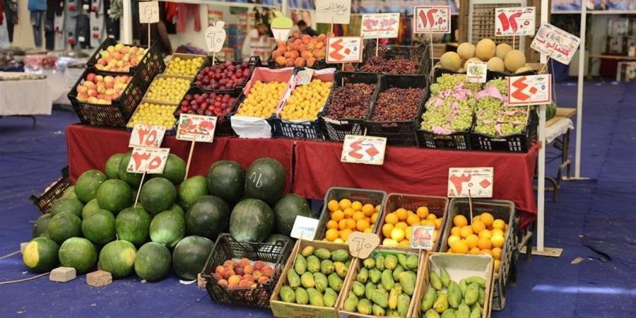 أسعار
      الفاكهة
      في
      الغربية
      اليوم
      الجمعة
      31
      أكتوبر
      2025