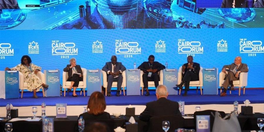 أيو سوبيتان: أفريقيا يجب أن تتحمل مسئولية تنميتها دون انتظار المساعدات