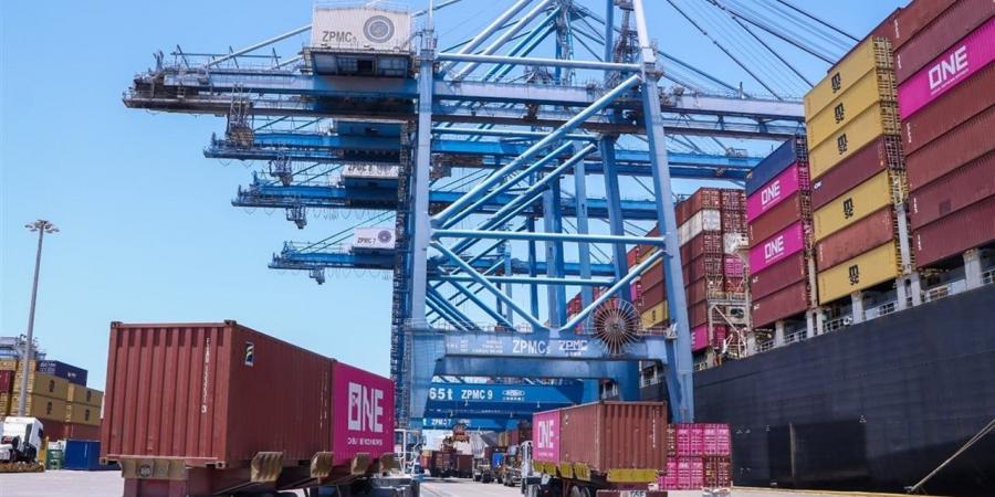 حركة تداول السفن والحاويات والبضائع العآمة في ميناء دمياط