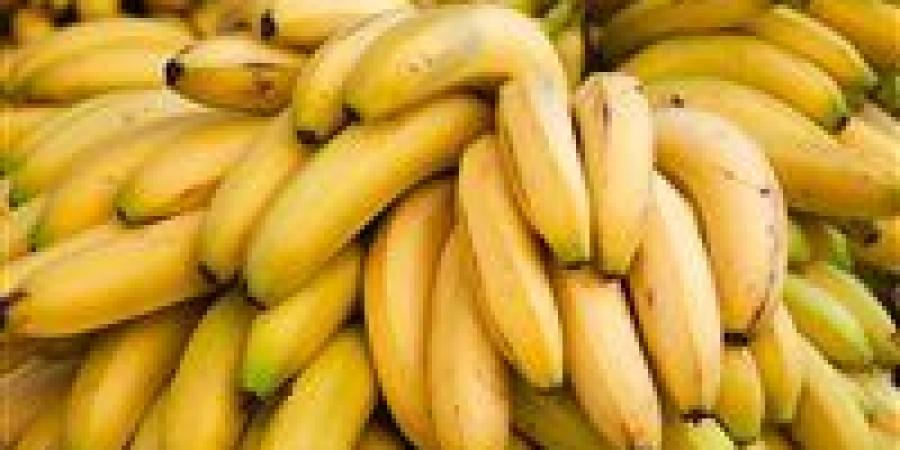 بسوق الجملة.. أسعار الخضروات والفاكهة اليوم الأربعاء 5 نوفمبر