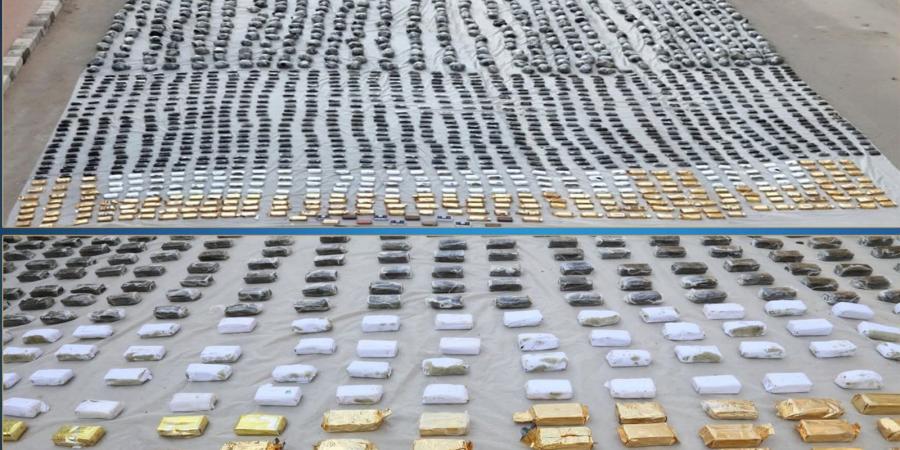 حشيش وهيدرو.. ضبط 3 أطنان مخدرات بقيمة 225 مليون جنيه بالسويس