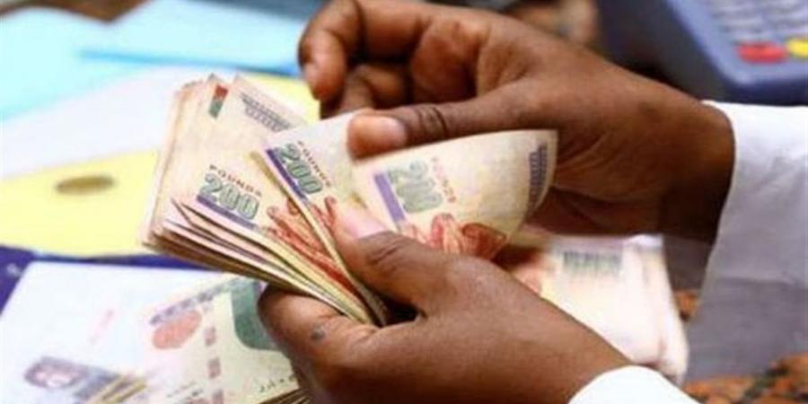 جدول صرف مرتبات نوفمبر 2025 والمتأخرات كاملة من وزارة المالية