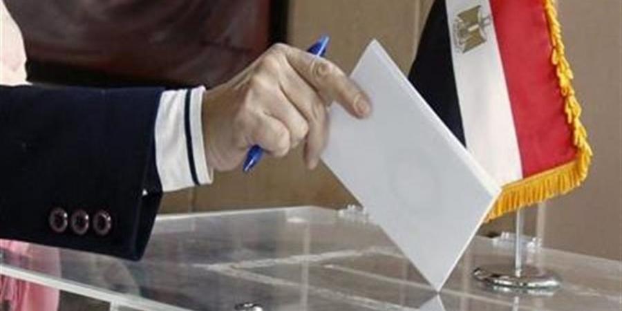 انطلاق تصويت المصريين بالخارج فى اليوم الأول من المرحلة الأولى بانتخابات النواب