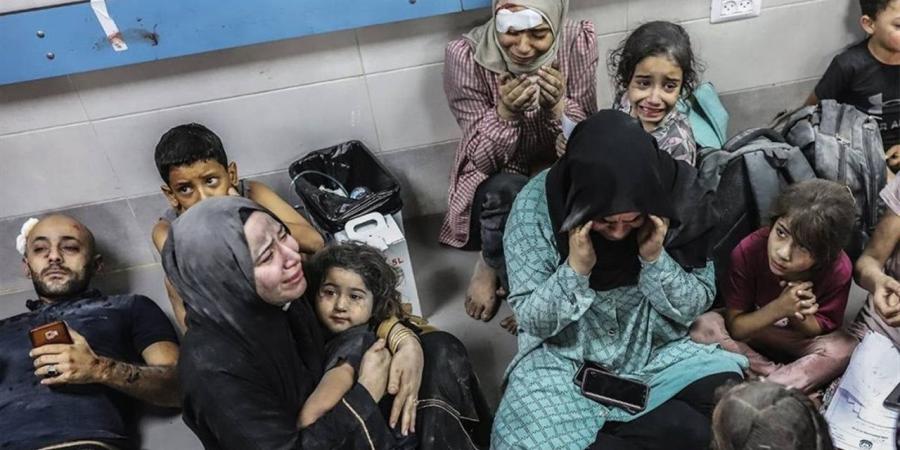 مدير وحدة المعلومات الصحية بصحة غزة: نقص الأدوية وصل لـ56%