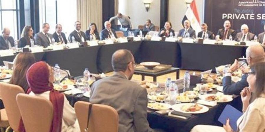 إطلاق الحزمة الثانية من «التسهيلات الضريبية» خلال الشهر الجارى