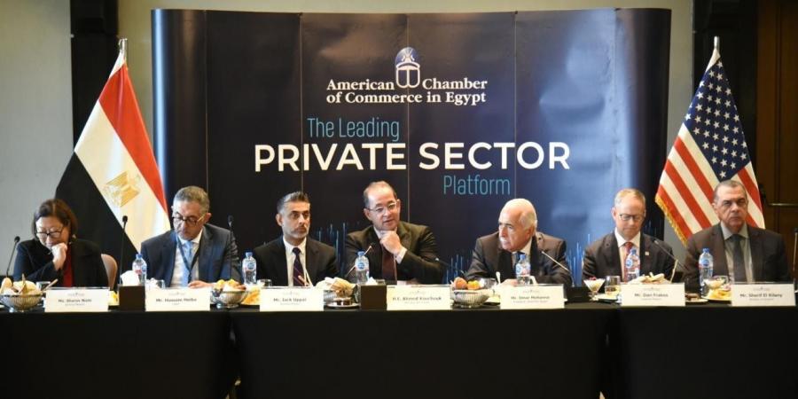 وزير المالية: 170 مليار جنيه لدعم الصناعة والسياحة وتعزيز مكانة مصر