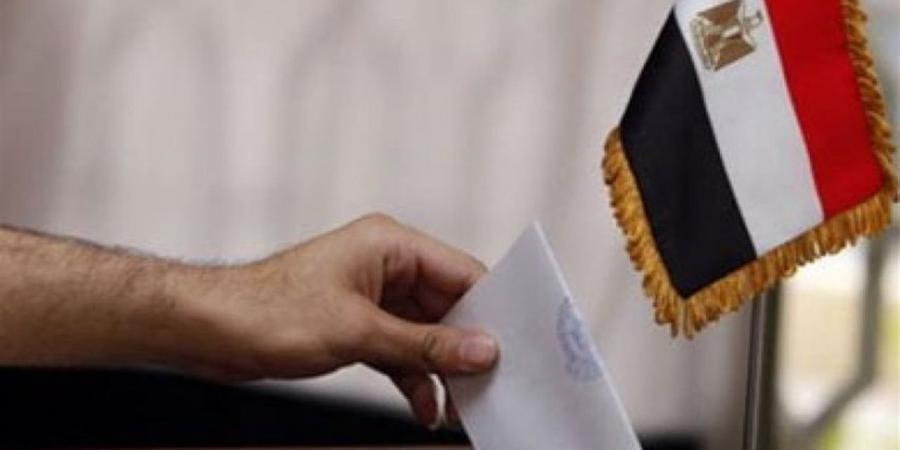 طوابير أمام اللجان.. المصريون بالأردن يواصلون التصويت في انتخابات البرلمان