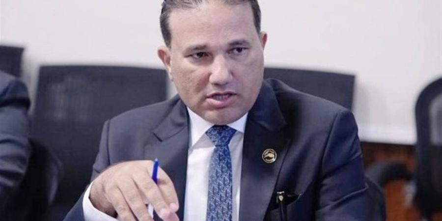 برلماني: إقبال المصريين في الخارج على الانتخابات يؤكد وعيهم وثقتهم في بلدهم