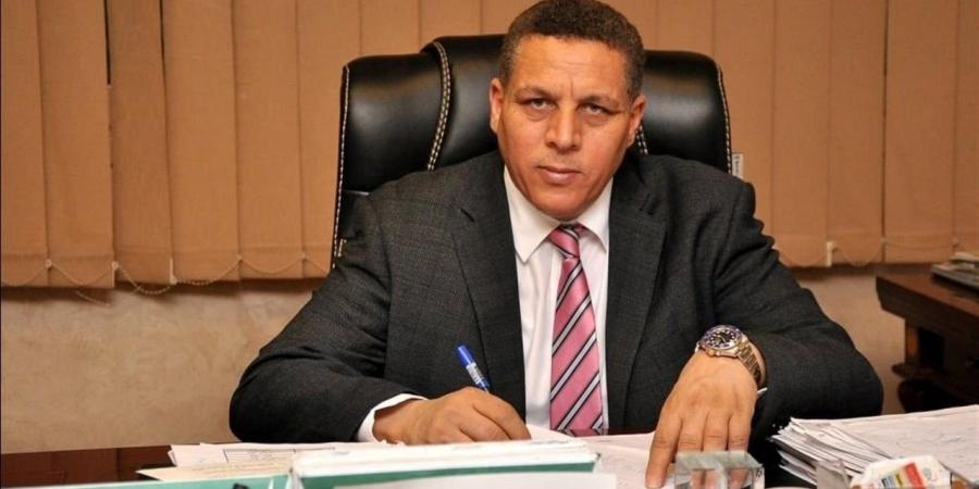 أحمد محسن: الإقبال الكثيف للمصريين بالخارج يعكس وعيًا وطنيًا ويؤشر على قوة انتخابات مجلس النواب