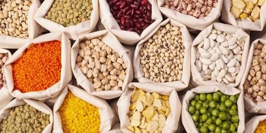 أسعار البقوليات اليوم السبت 8 نوفمبر 2025 بأسواق القاهرة