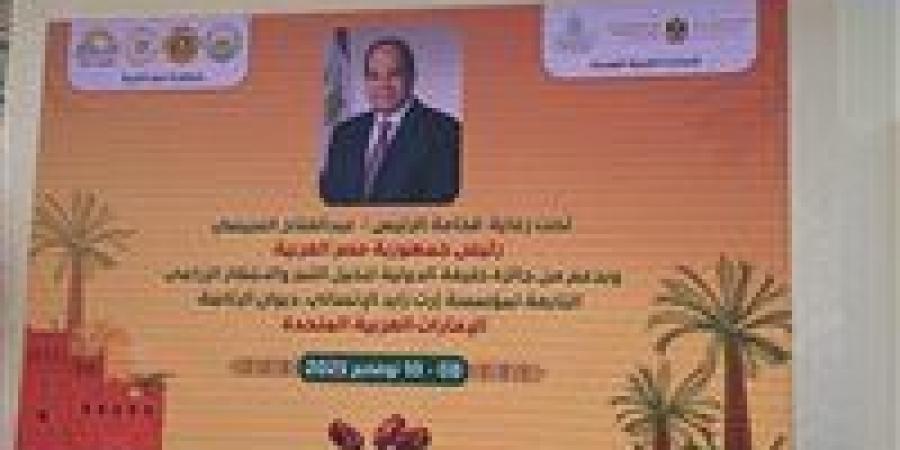 إنشاء أكبر مزرعة نخيل في العالم بسعة 2.3 مليون نخلة في توشكى والعوينات